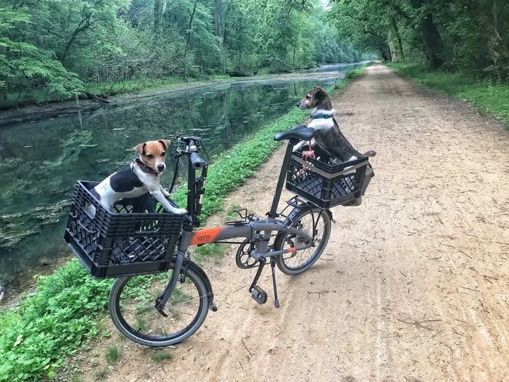 전통과 실용성을 겸비한 자전거 짐케리어_3.webp
