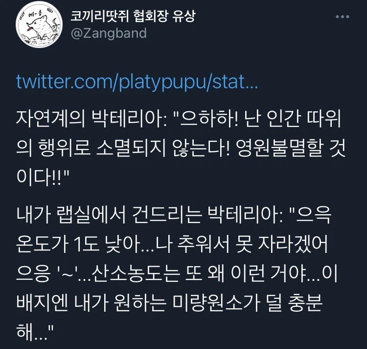 최강의 생존력을 자랑하는 곰벌레 죽이는 법_2.webp