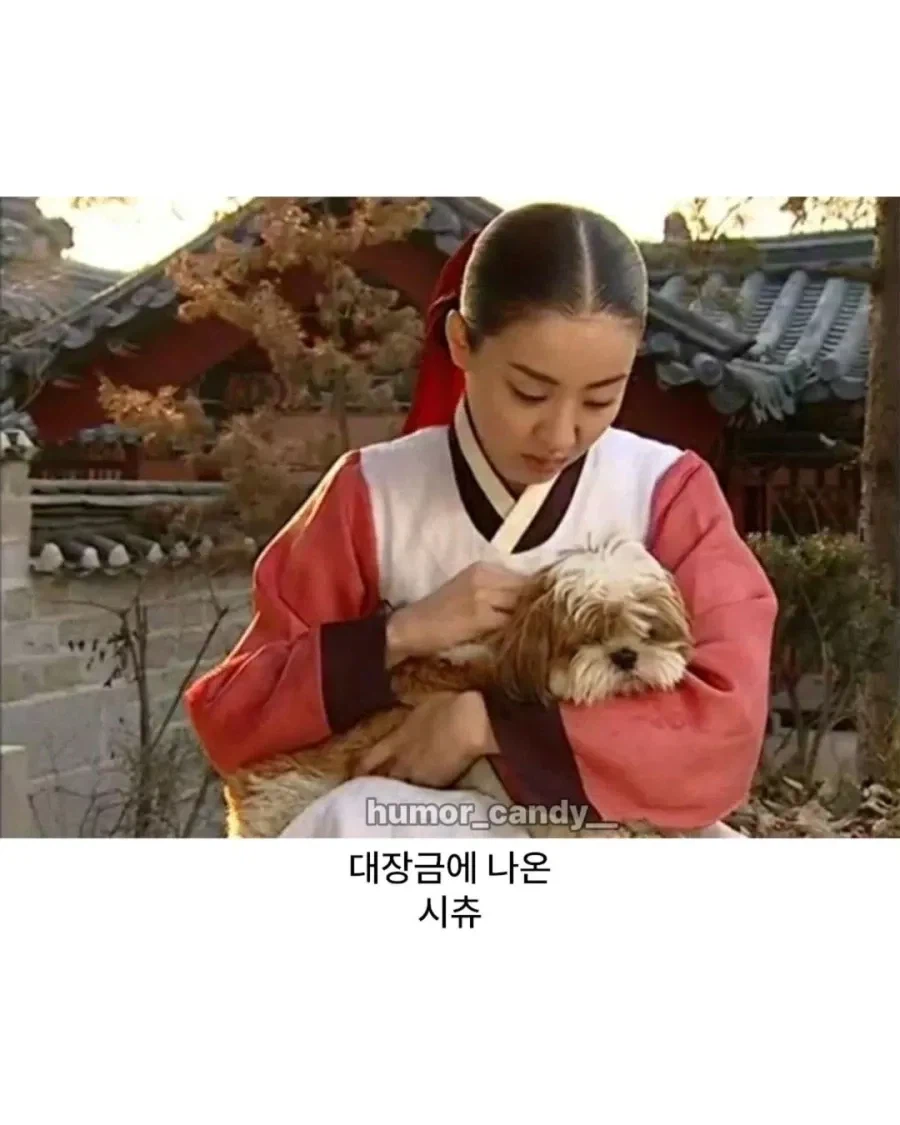 의외로 조선시대에 있었다는 견종_2.webp