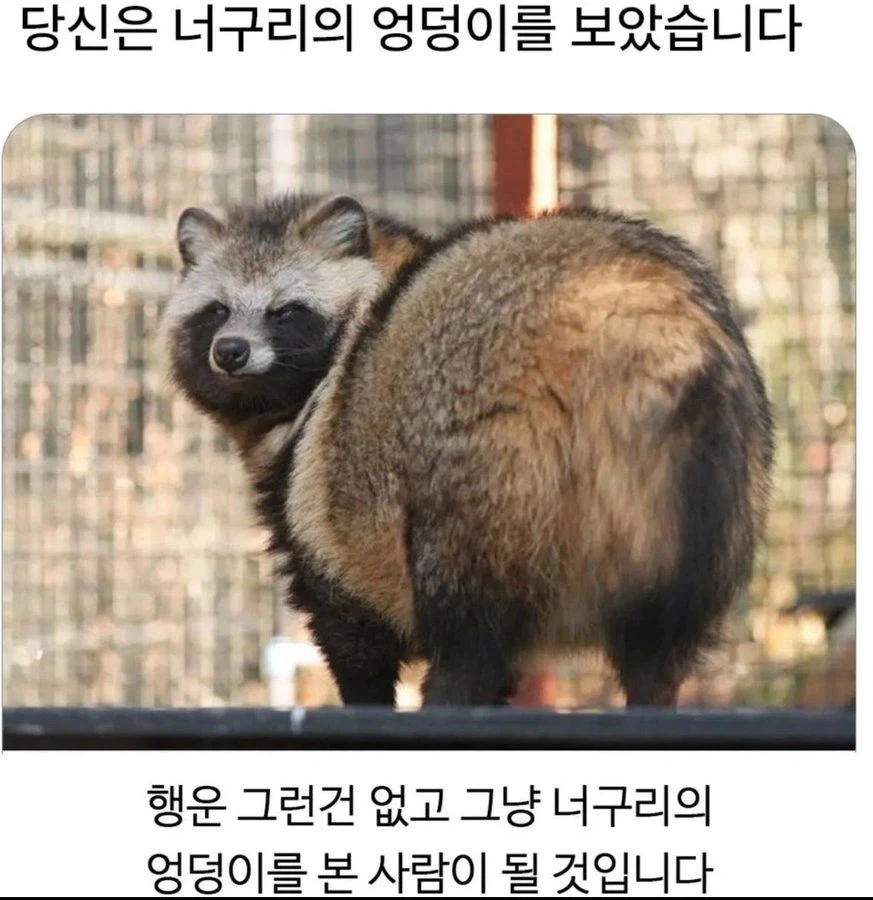 이 글을 본 당신!!_1.webp