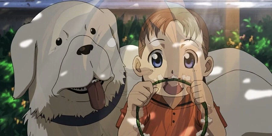 개연성에 필요한거_1.webp