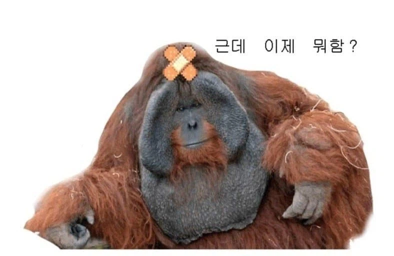 이란 내부 요약_1.webp