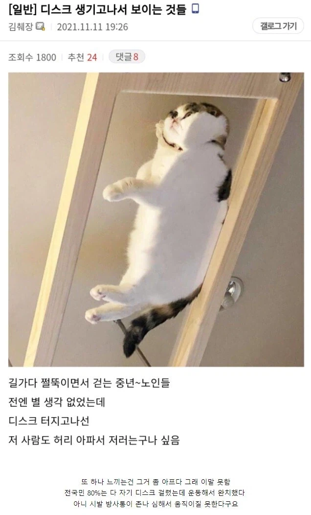 디스크 생기고나서 보이는 것들.jpg_1.webp