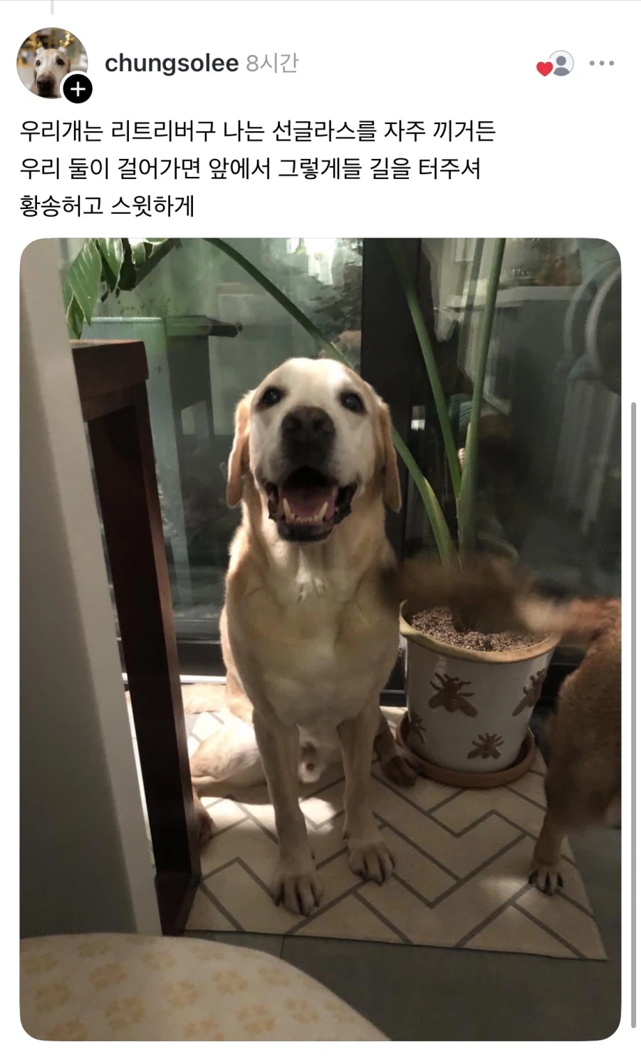 조각케익 이름이 너무 어려워서 메모장에 적어 주문했다.jpg_2.webp