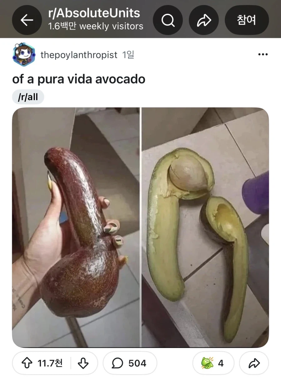 레딧에서 많은 추천을 받은 아보카도.jpg_1.webp