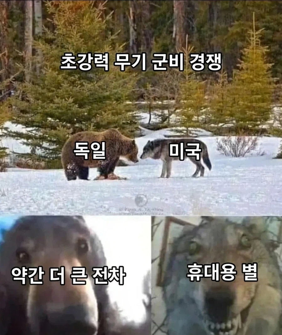 2차대전 초강력 무기 경쟁.jpg_1.webp