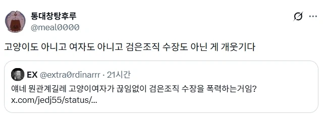 고양이가 검은조직 수장을 패는 그림.jpg_2.webp