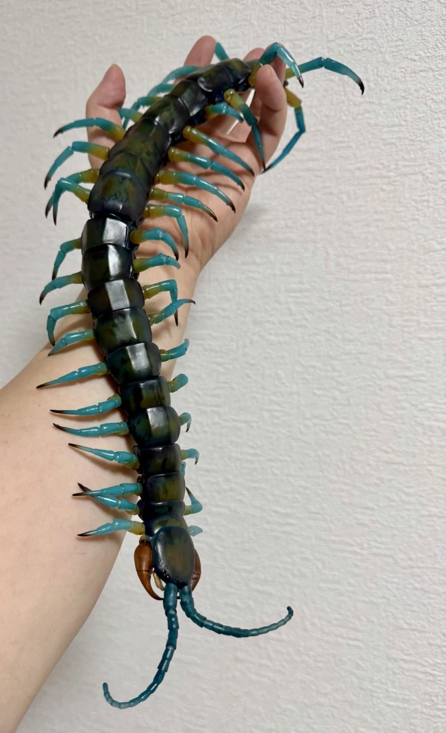 의외로 사람들이 무서워하는 장난감.jpg_1.webp