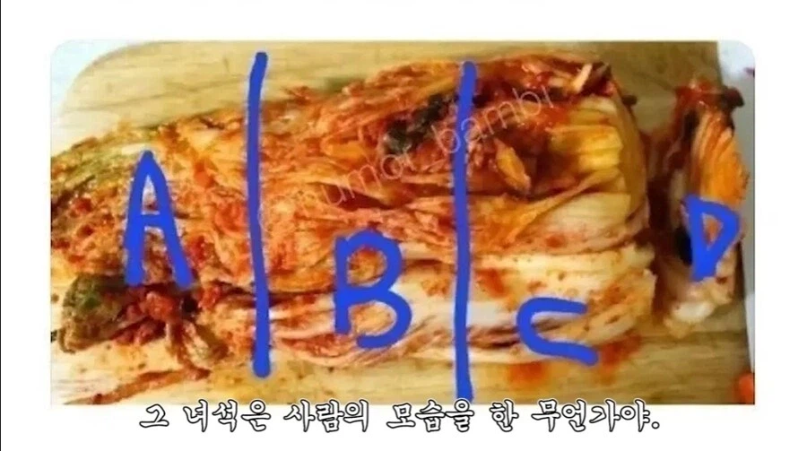 김치선호도 ABC...._3.webp