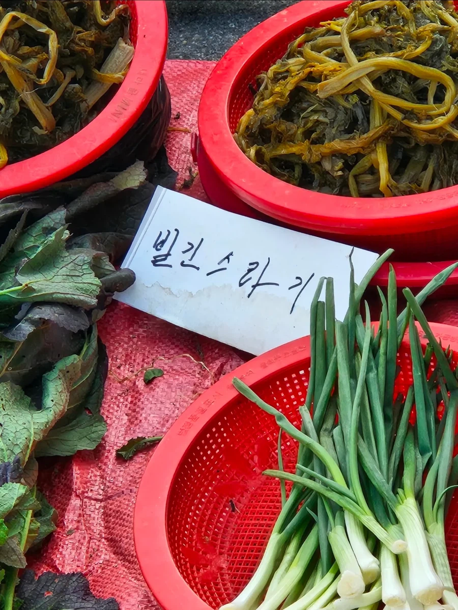 부산 사람만 뜻을 안다는 단어.jog_1.webp