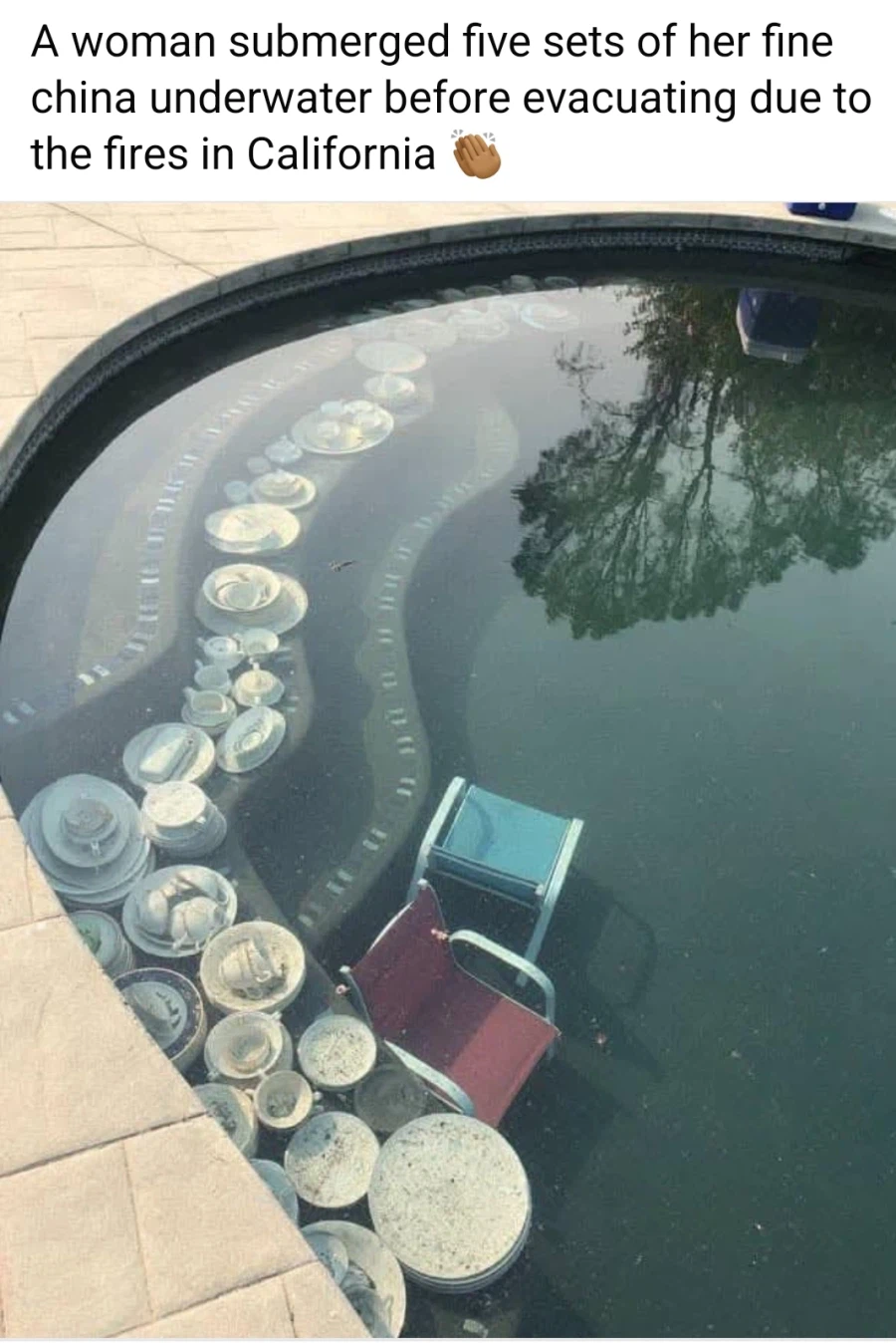 산불로부터 콜렉션을 지키기 위한 집주인의 묘책_1.webp