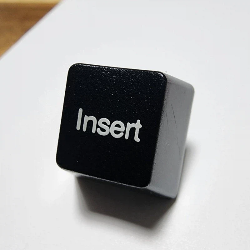 insert. 키 개야하지 않냐?_1.webp