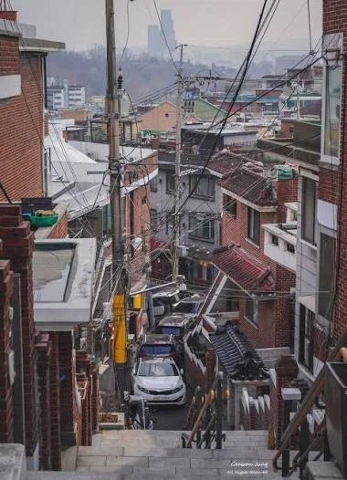 한국만 유독 자전거가 일상화안된 이유가 뭐냐.jpg_5.webp