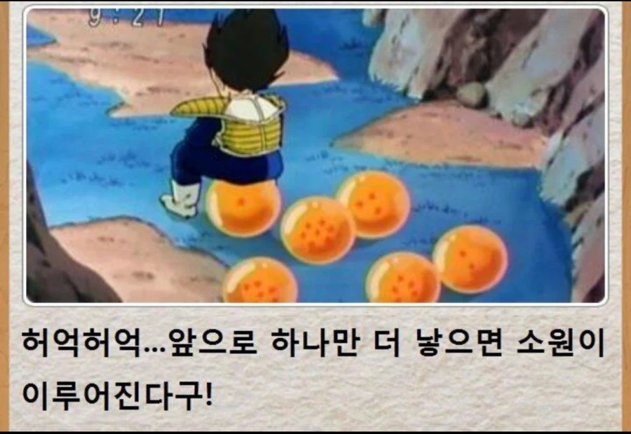 배지터의 배란일_1.webp