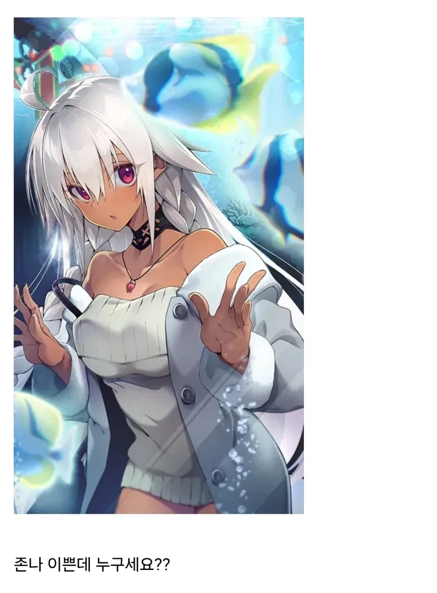 페이트) 개념예장을 봤을 때 누구인지 알지 못하는 서번트들_3.webp