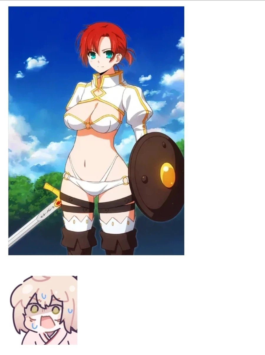 페이트) 개념예장을 봤을 때 누구인지 알지 못하는 서번트들_11.webp