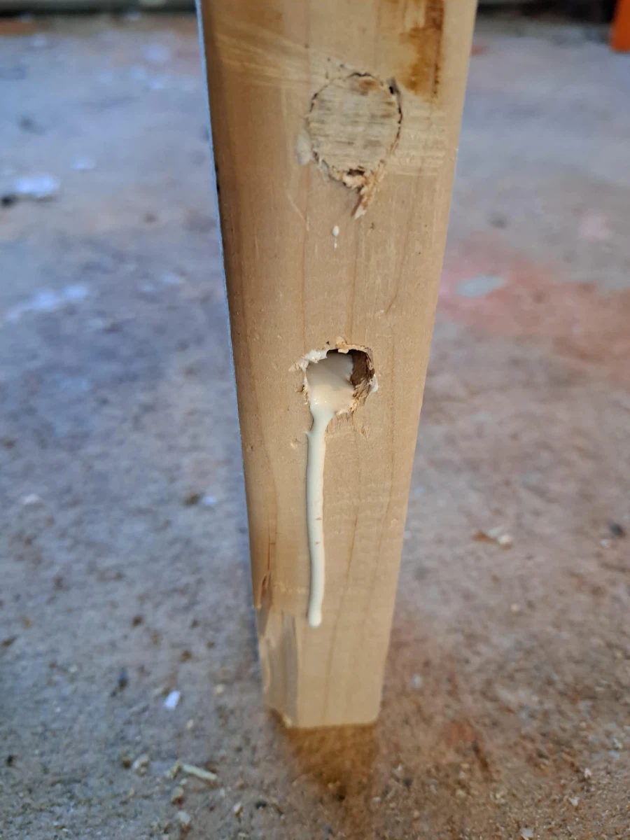 어떤놈이야? 당장나와!_1.webp