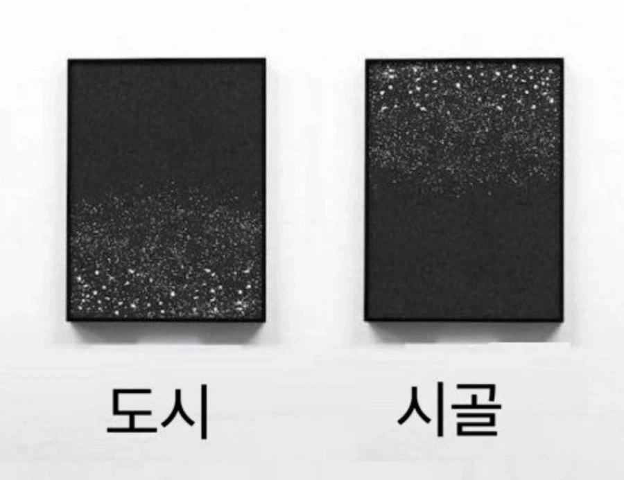 시골과 도시의 차이_1.webp