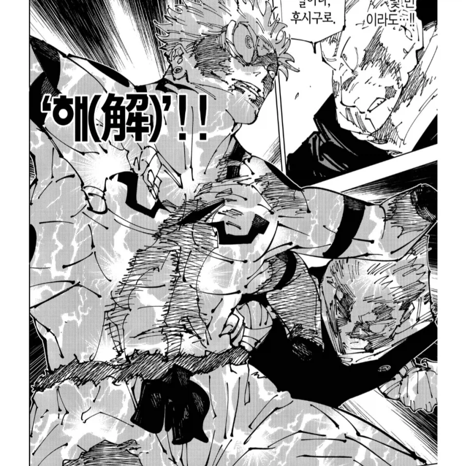 주술회전) 육탄전에는 부적합 한 것 같은 스쿠나의 육체_5.webp