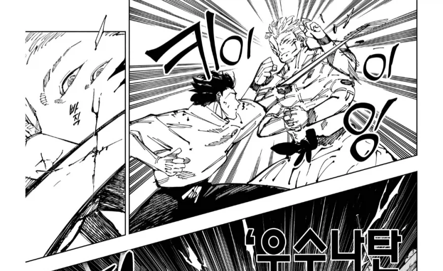 주술회전) 육탄전에는 부적합 한 것 같은 스쿠나의 육체_3.webp