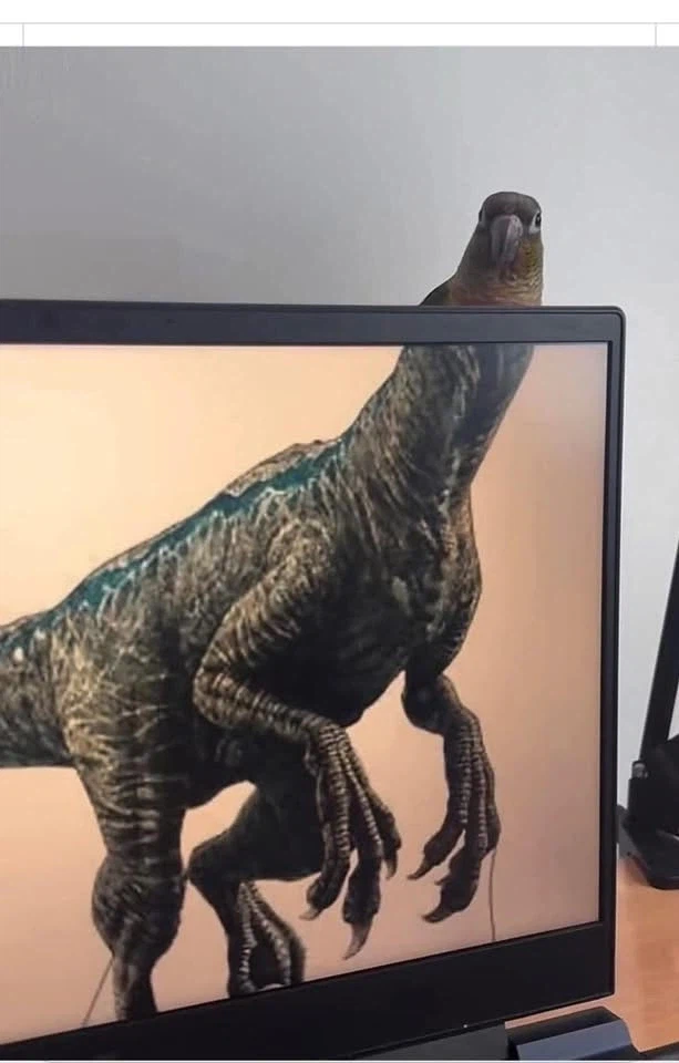 미방용으로 적합하다고 생각하는 짤들_4.webp