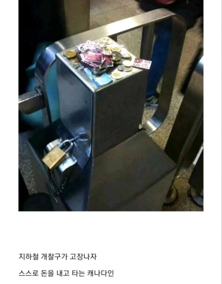 캐나다인들의 국민성_2.webp