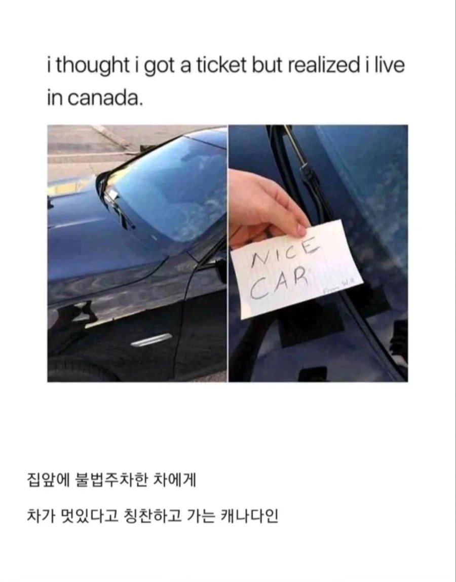 캐나다인들의 국민성_3.webp