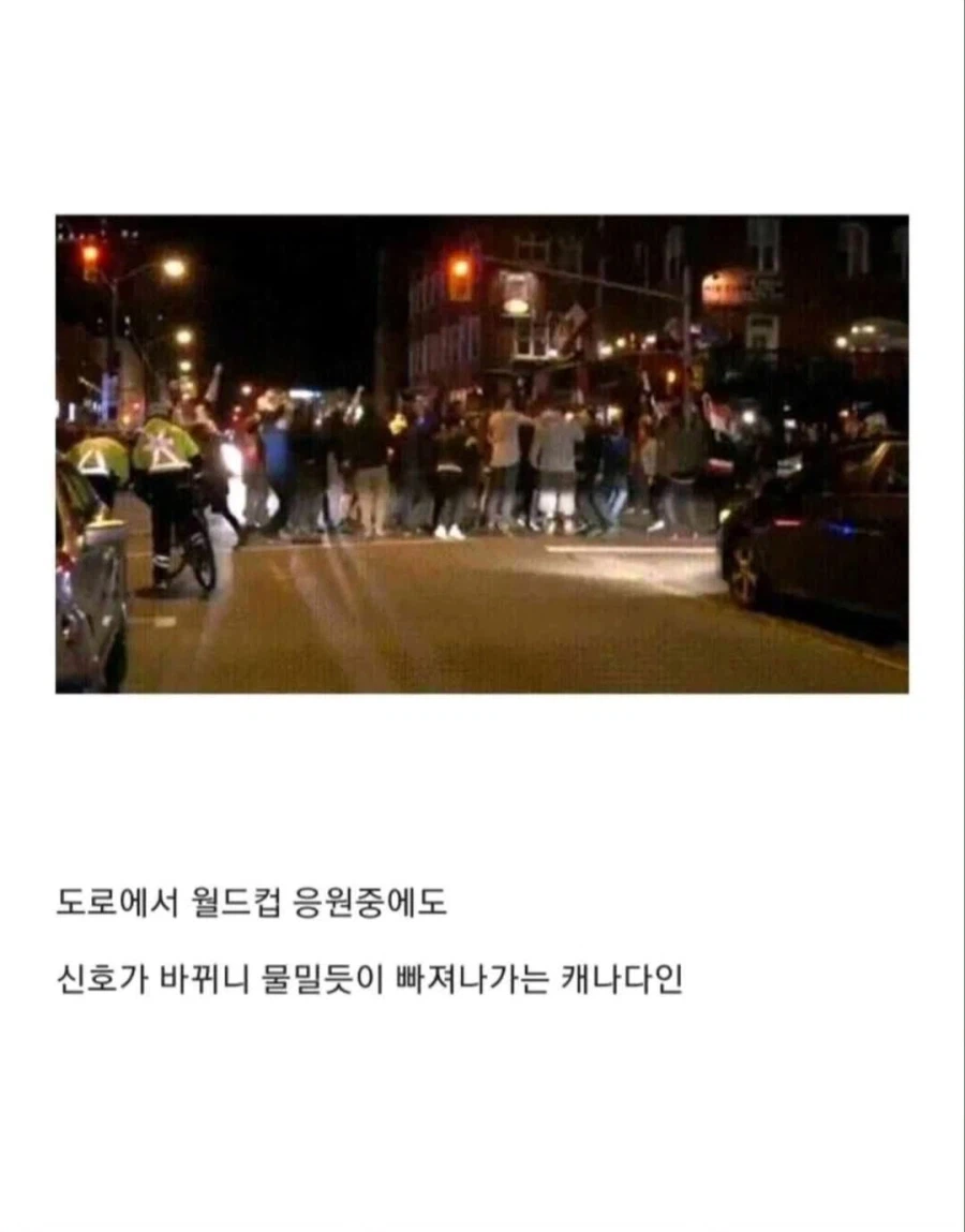 캐나다인들의 국민성_4.webp