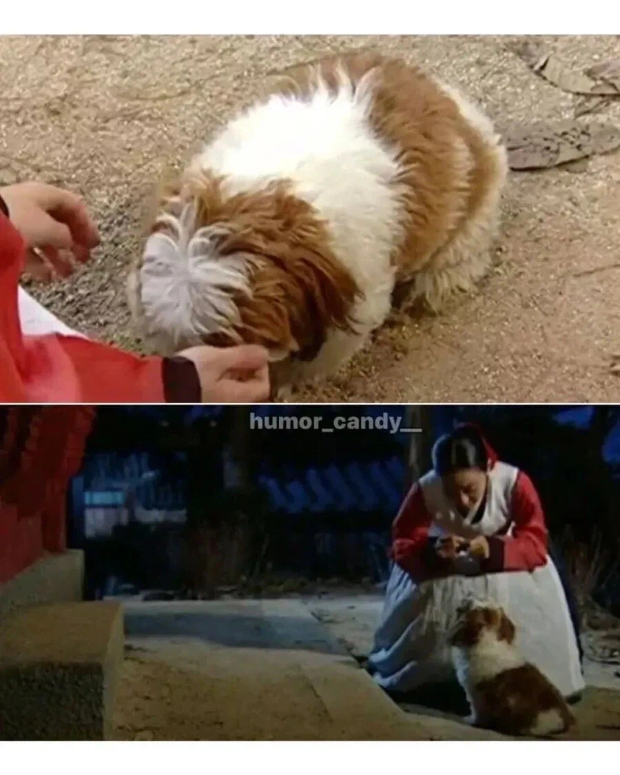 의외로 마냥 고증 오류는 아닌 것.jpg_2.webp