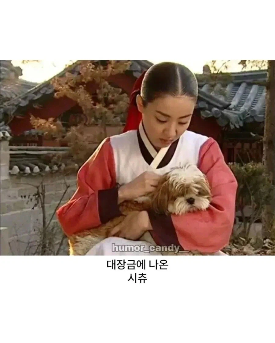 의외로 마냥 고증 오류는 아닌 것.jpg_3.webp