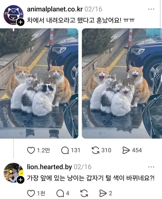 차에서 내려오라고 했다가 혼났어요 ㅜㅜ_1.webp