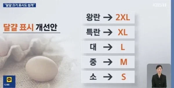 변경된다는 달걀 사이즈 표기법_1.webp