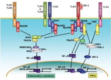 바이러스는 초고대문명의 바이오로봇이 아니다_1.webp