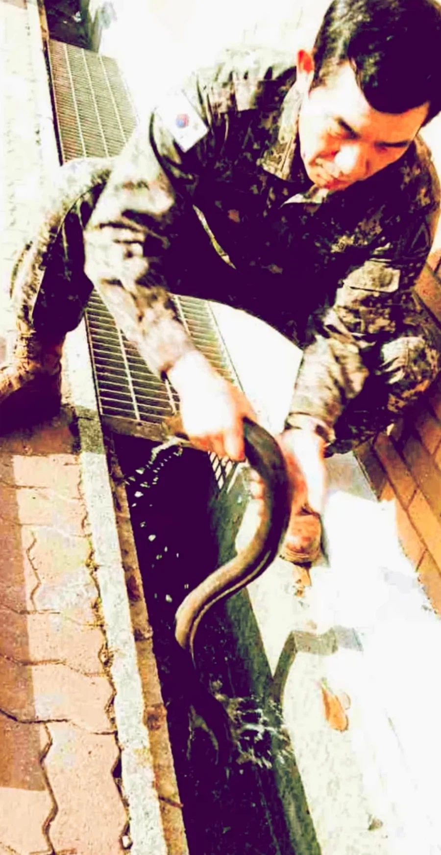 AI 주임원사 시리즈_8.webp