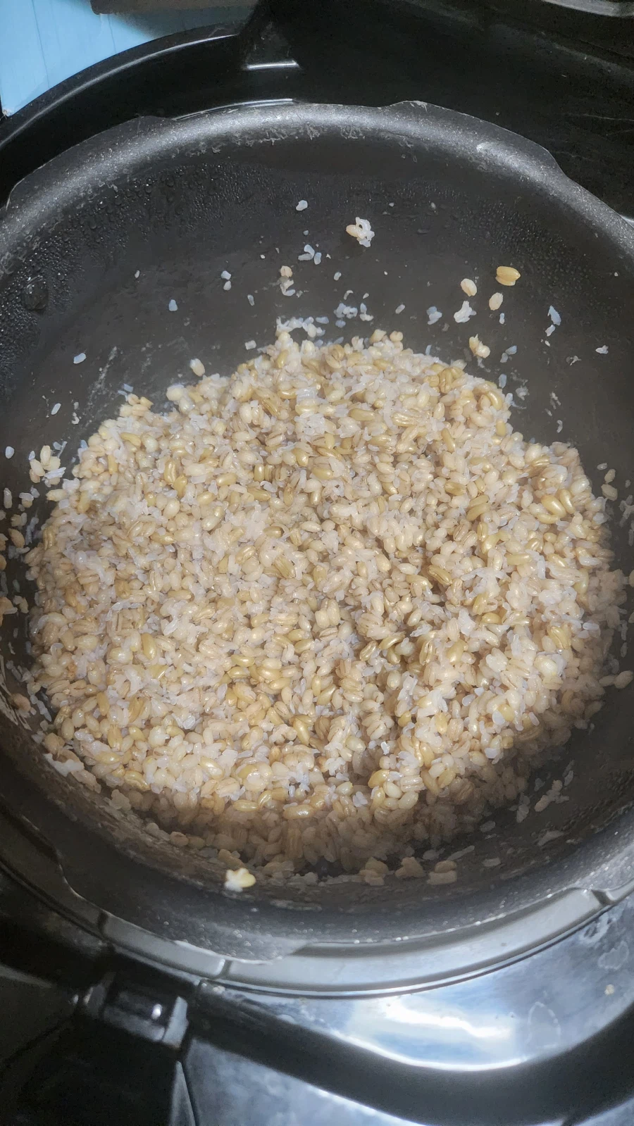 내 밥을 봐줘....._4.webp