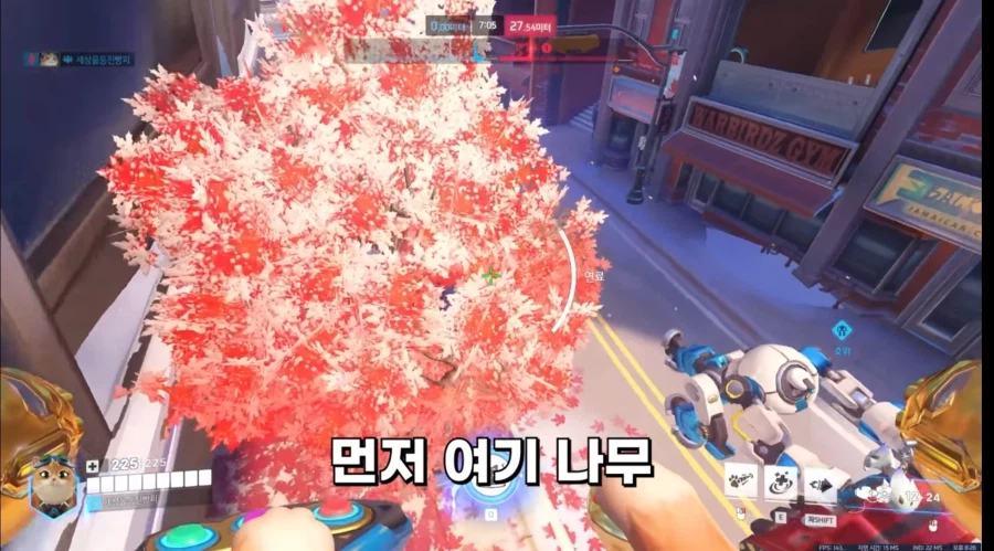 가지가지하는 ㅈ냥이_1.webp