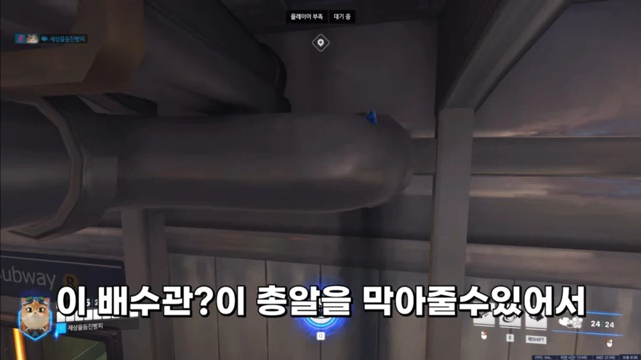 가지가지하는 ㅈ냥이_7.webp