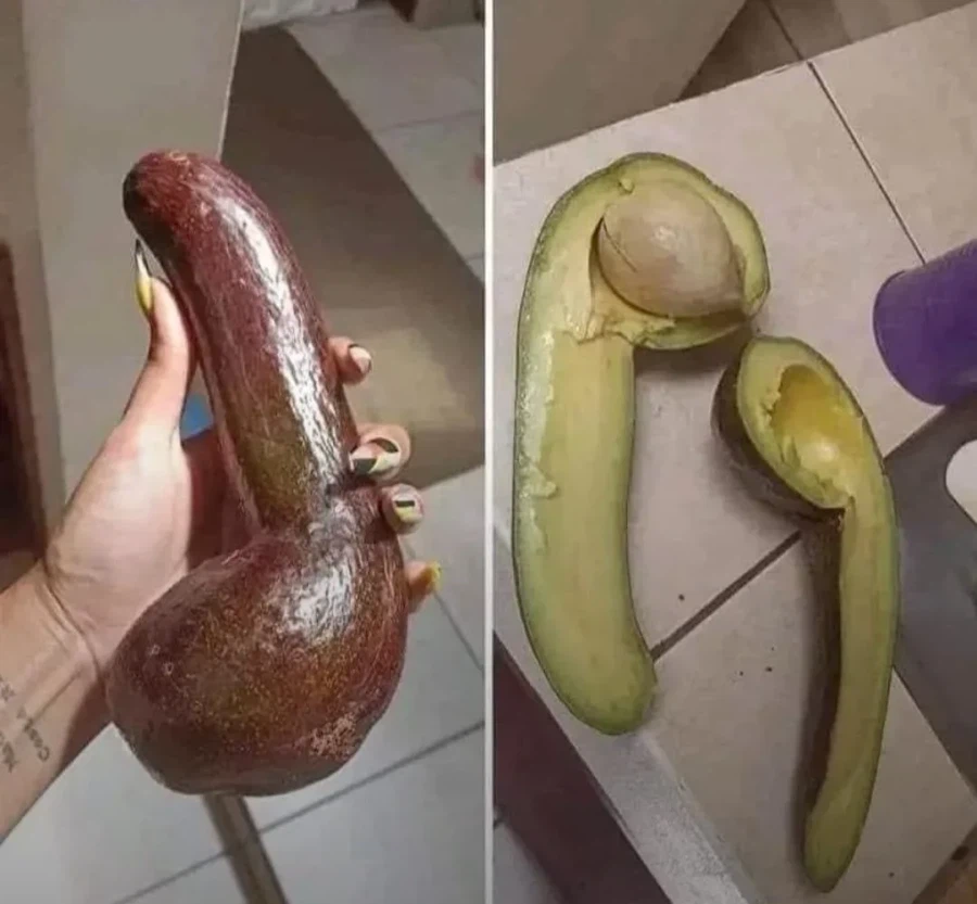 아보카도 참 ㅈ같이 생겼네..._1.webp