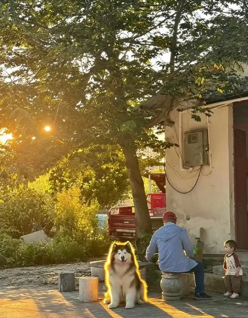 SSR 급 캐릭터 가챠 연출_1.webp