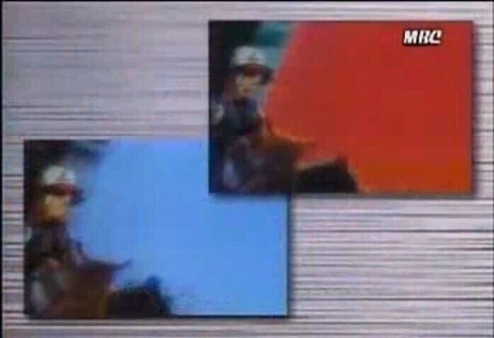 피카츄:신참아 너가 나 대신 큰집 좀 들어가줘야겠다._3.webp