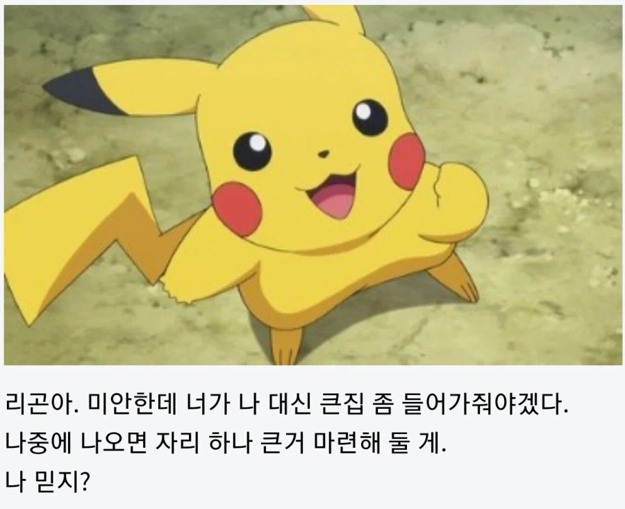 피카츄:신참아 너가 나 대신 큰집 좀 들어가줘야겠다._5.webp
