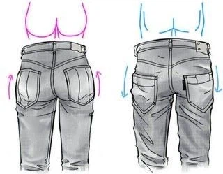 여성형 뒷태와 남성형 뒷태_1.webp