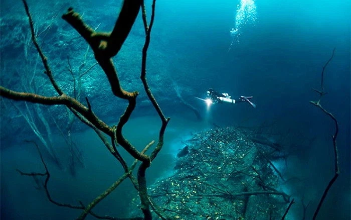 바다속에 물이 있는 이유_4.webp