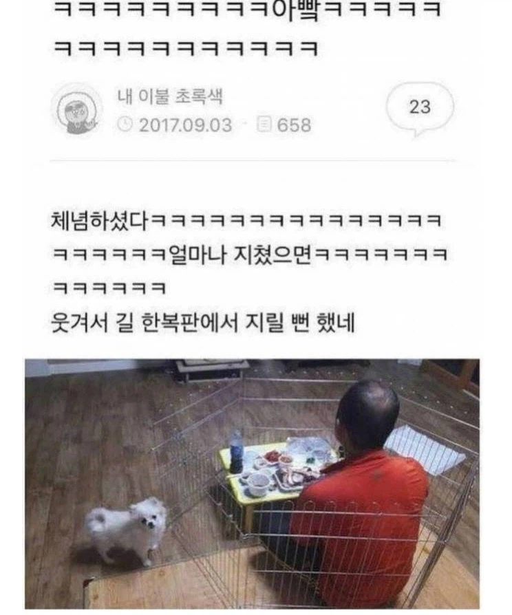 결국 멍뭉이 때문에 체념하신 아버지.jpg_1.webp