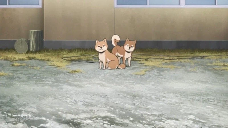 일본 산기슭 민가에서 키우는 애완곰_3.webp