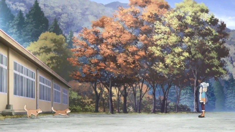 일본 산기슭 민가에서 키우는 애완곰_5.webp