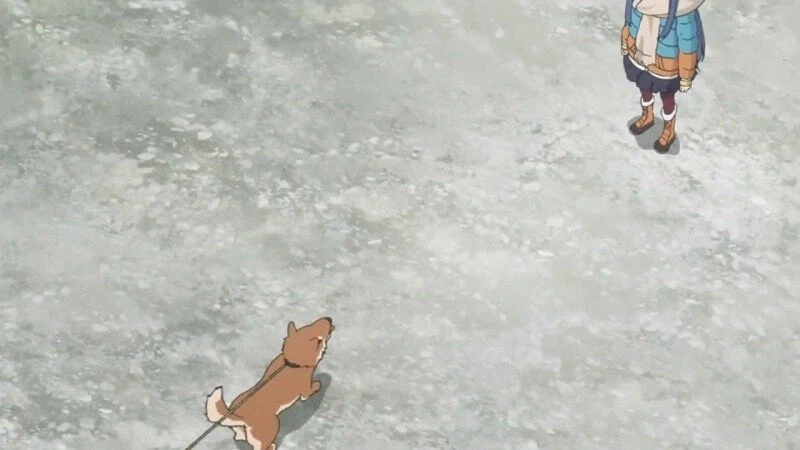 일본 산기슭 민가에서 키우는 애완곰_7.webp