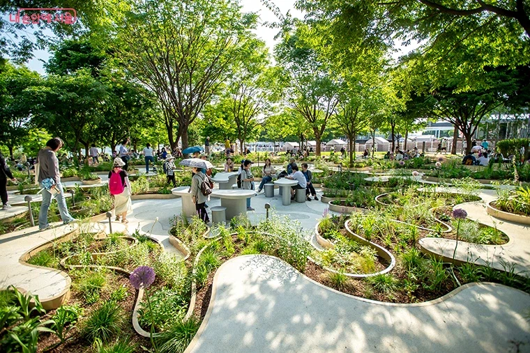 여수 섬 박람회보다 좋았던거_1.webp