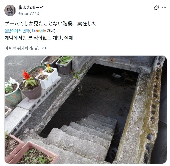 게임에서만 봤던 계단이 진짜로 있었다.jpg_1.webp