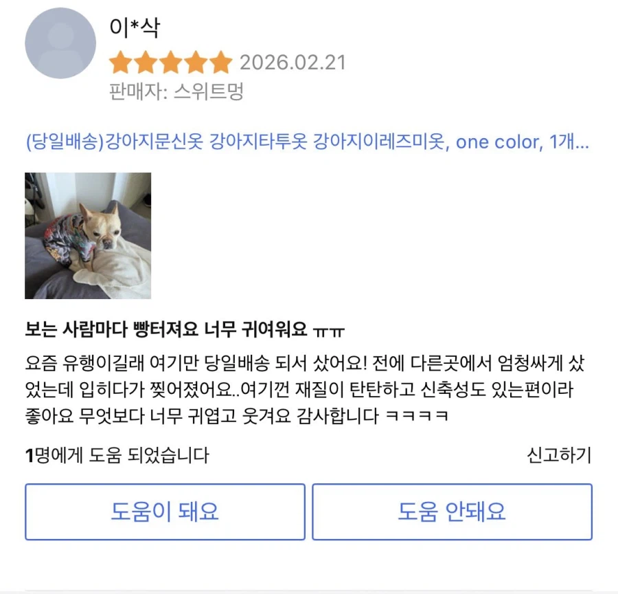 입혀놓으면 귀여운데 산책시킬때 부끄러운 강아지옷_3.webp
